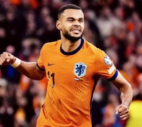 Tottenham linked with Cody Gakpo