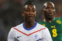 Newcastle submit loan offer for Eljero Elia