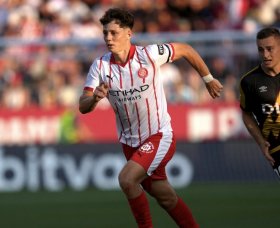 Versatile Czech international to join Wolves