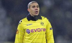 Bolton to sign Mohamed Zidan on loan?